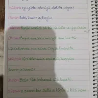 آموزش زبان ترکی استانبولی به صورت خصوصی و تک نفره|خدمات آموزشی|شیراز, فرگاز|دیوار