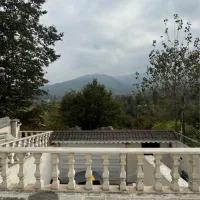 ویلای ویودار سند تک برگ