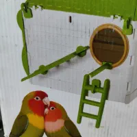 لانه پرنده
