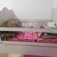 تخت کودک و نوجوان