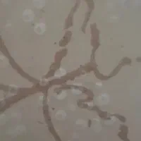 شیر روشویی اهرمی