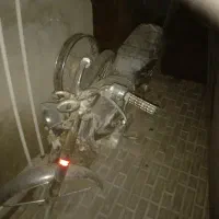 موتور معامله گوسفند