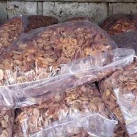 برگه زردالو قیسی درهم