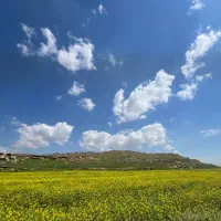 زمین-باغی-دیوارکشی-شده-دزفول