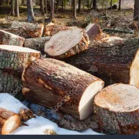 خرید چوب درمکان شماخرید و