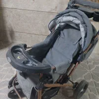 کالسکه دلیجان|کالسکه و لوازم جانبی|گلبهار, شهر جدید گلبهار|دیوار