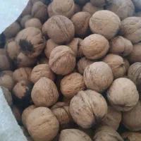 گردو دالاهو|خوردنی و آشامیدنی|گهواره, |دیوار