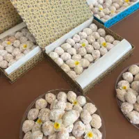 تهیه انواع غذا و فینگرفود|خدمات پذیرایی، مراسم|ورامین, ورامین|دیوار