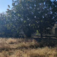 فروش یک قطعه زمین کشاورزی مناسب جهت احداث گلخانه