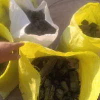 ذغال کبابی ارزان به تعداد محدود|عمده‌فروشی|قم, جمکران|دیوار