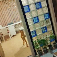 اجاره میز ناخن