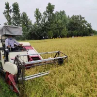 از هر ۱۰۰۰ متر بالای ۳۵۰ کیلو برداشت کن