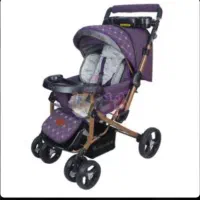 کالسکه و وسایل جانبی