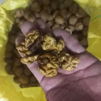 گردوتازه