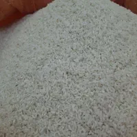 نیم دانه درشت هاشمی