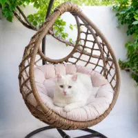 زیباترینو مهربونترین گربه دنیا