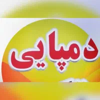 دمپایی ،کفش