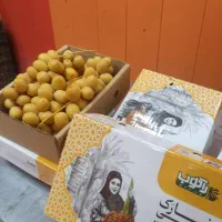 آگهی استخدام ۲نفر خانم