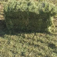 یونجه