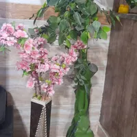دوتا گل متفاوت