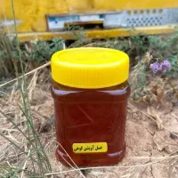 عسل طبیعی کوهستان|خوردنی و آشامیدنی|تهران, مولوی|دیوار