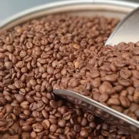 نیازمند ویزیتورخانم‌یا اقا