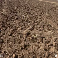 زمین کشاورزی در روستای پیراقوم به متراژ ۸۵۰۰