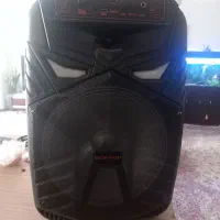 اسپیکر کار کرده کاملا سالم ۴۵ سانت