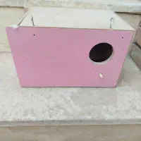 لونه عروس وگرینچیک