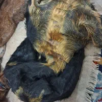 خیگ جای روغن|ظروف نگهدارنده، پلاستیکی، یک‌بارمصرف|دهدشت, |دیوار