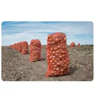 فروشی پیاز محلی