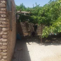 اجاره گاوداری دامداری