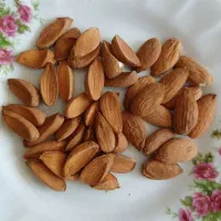 بادام ماما ،پرمغز،کیفیت عالی،کاملا ارگانیک|خوردنی و آشامیدنی|لنجان, |دیوار