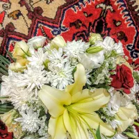 گل طبیعی مجلسی سالم|گل و گیاه طبیعی|تبریز, |دیوار