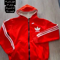 هودی تو کرکی ۴۸۰