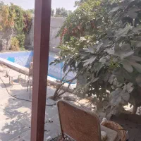 اجاره چهار دیواری تجاری|اجارهٔ دفتر صنعتی، کشاورزی، تجاری|شریف‌آباد, |دیوار