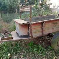 تیلر ۵نیم کبوتا