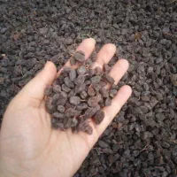 کشمش و دوشاب فوق‌العاده خوشمزه