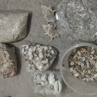 شمع یلدایی|صنایع دستی و سایر لوازم تزئینی|شیراز, نصر|دیوار