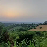 فروش زمین کوه