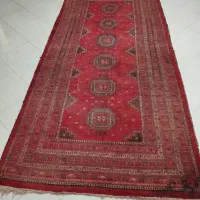 قالی دست بافت|فرش|مشهد, بهارستان|دیوار