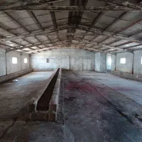 اجاره چند سالن