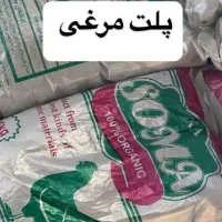 گوگرد