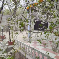 ویلا-باغ-400-متری-در-باغ-شهر-اسکو