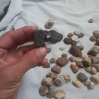 سنگ|کلکسیون اشیاء عتیقه|بروجرد, |دیوار