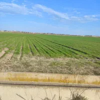 فروش زمین کشاورزی یک هکتار