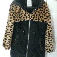 کاپشن پلنگی و مشکی ساده|لباس|میاندوآب, |دیوار