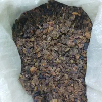 کشمش  افتابی