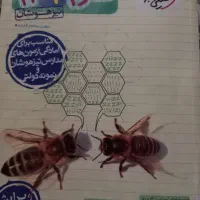 کتاب تست نهم