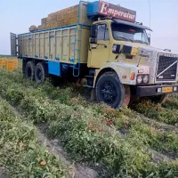 ولوو باری مدل۶۶|خودرو سنگین|اردبیل, |دیوار